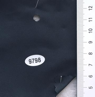 9798 Navy