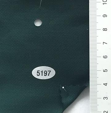 5197 Deep Green