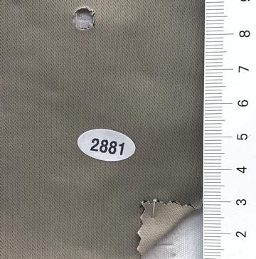 2881 Beige