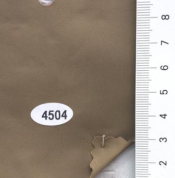 4504 Camel