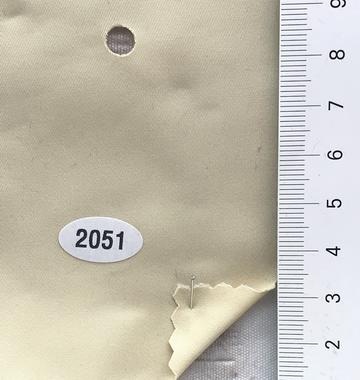 2051 Ivory