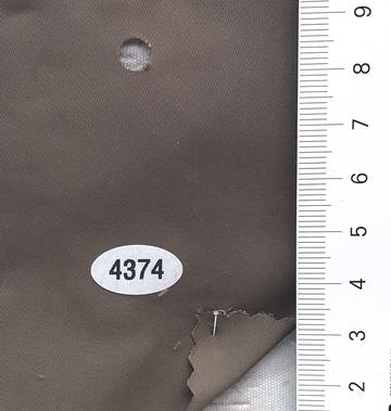 4374 Brown