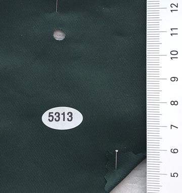 5313 Deep Green