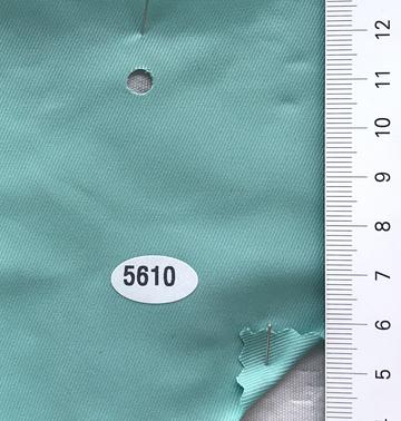 5610 Pale Green