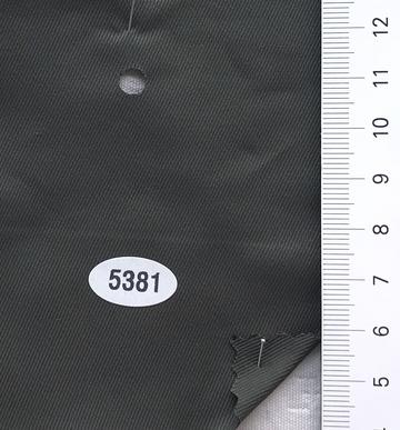 5381 Deep Green