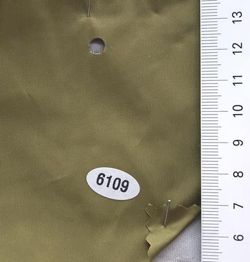 6109 Camel