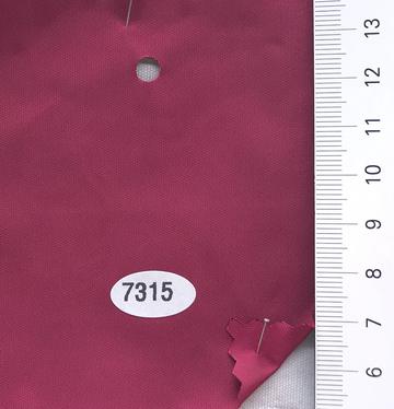 7315 Magenta
