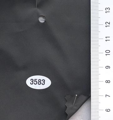 3583 Brown