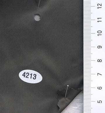 4213 Brown