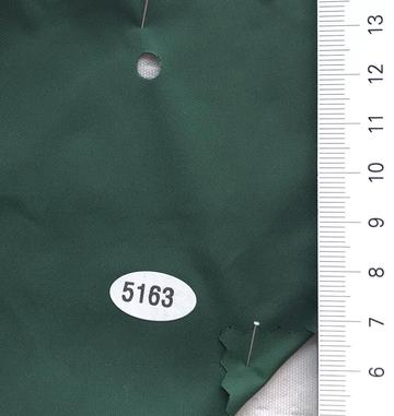 5163 Green