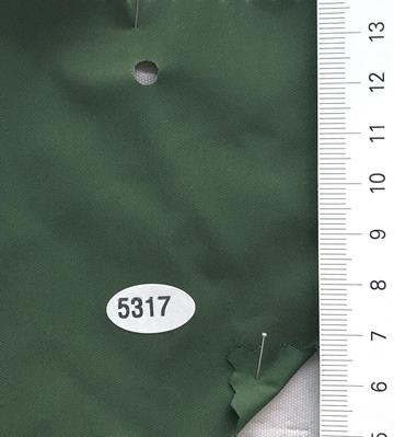 5317 Deep Green