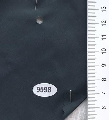 9598 Charcoal