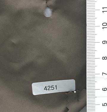 4251 Brown