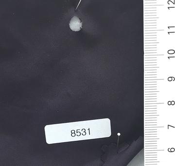 8531 Purple