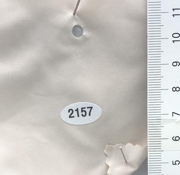 2157 Ivory