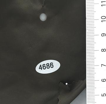 4686 Deep Green