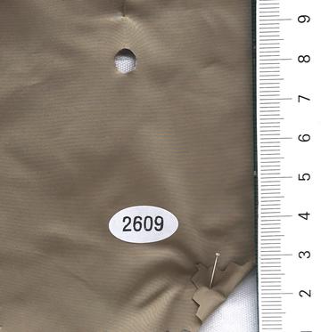 2609 Beige