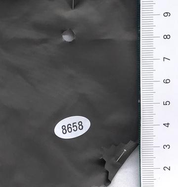 8658 Brown