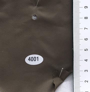4001 Brown