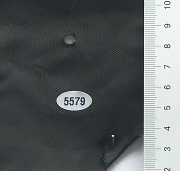 5579 Deep Green