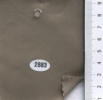 2883 Beige