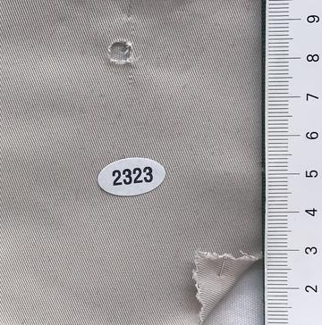2323 Ivory