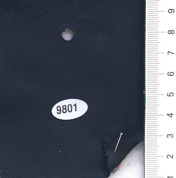 9801 Navy