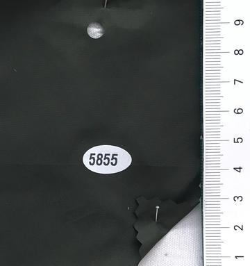 5855 Deep Green