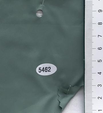 5462 Green