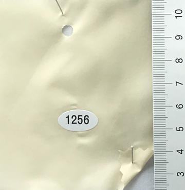 1256 Ivory