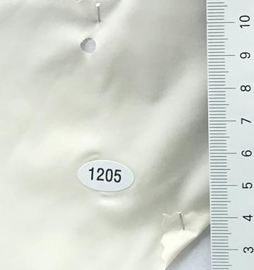 1205 Ivory