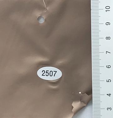 2507 Camel