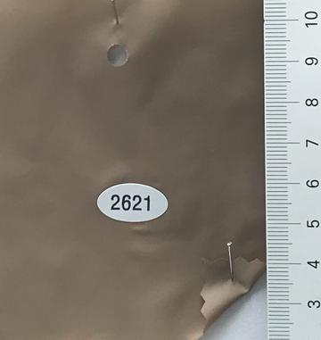2621 Camel