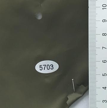 5703 Deep Green