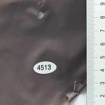 4513 Brown