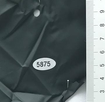 5875 Deep Green