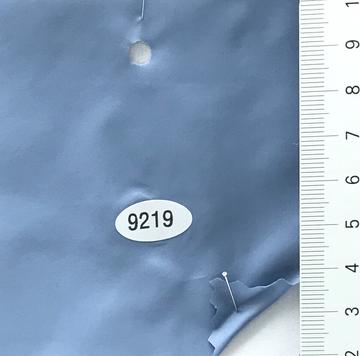 9219 Blue