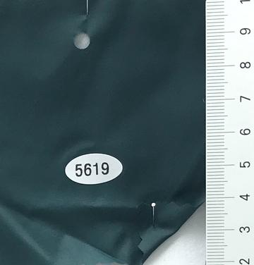 5619 Turquoise