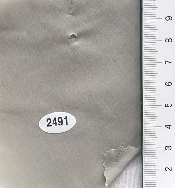 2491 Gray