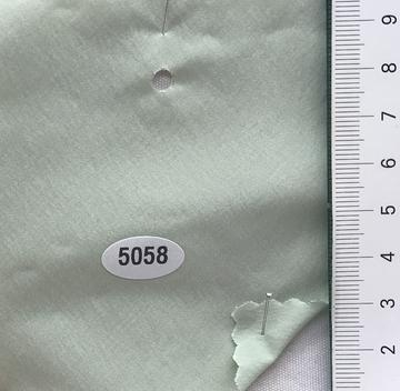 5058 Pale Green