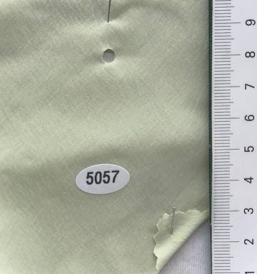5057 Pale Green