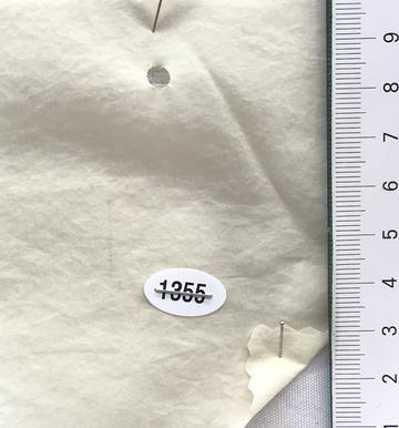 1355 Ivory