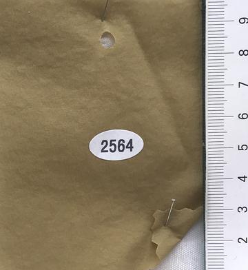 2564 Camel