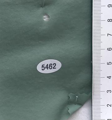 5462 Green