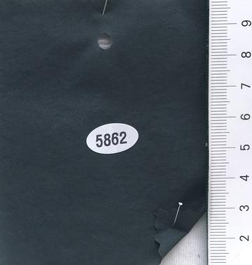 5862 Deep Green