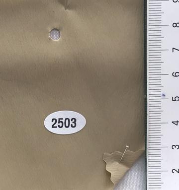 2503 Beige