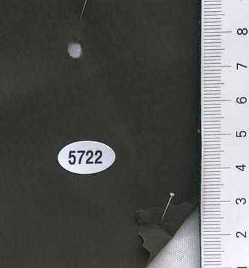 5722 Deep Green