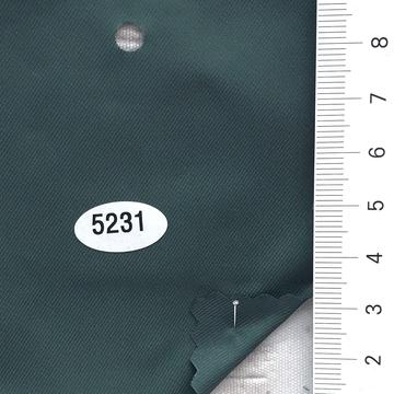 5231 Deep Green
