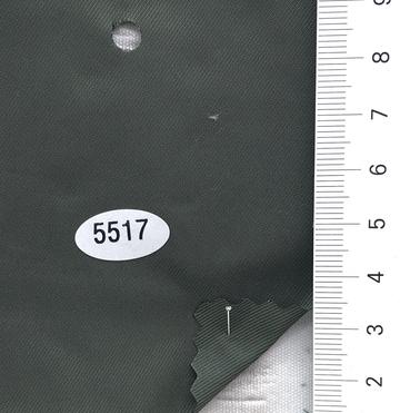 5517 Deep Green