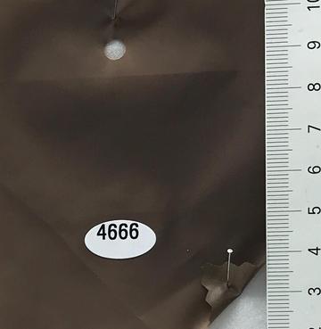 4666 Brown